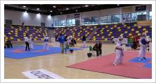 El Campeonato de Andalucia de Taekwondo Junior se celebró en Antequera