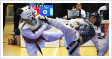 Resultados del Campeonato de Andalucía de taekwondo senior en Antequera