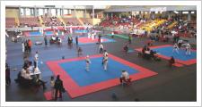 Gran éxito del V Open Internacional de Andalucia de taekwondo precadete, cadete, junior y senior