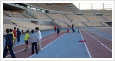 Éxito de las visitas concertadas al Estadio de La Cartuja de Sevilla