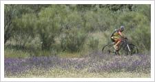 ‘Triki’ Beltrán se hace con III Mina's Bike por un circuito de 20 kilómetros en La Garza de Linares