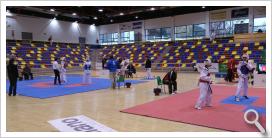 Campeonato de Andalucia de Taekwondo Junior celebrado en Antequera