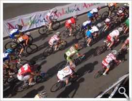 Campeonatos de España de Ciclismo en Edad Escolar por selecciones autonómicas, Jaén del 4 al 6 de julio de 2014