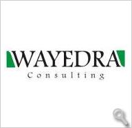 Wayedra Consulting