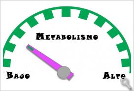 Acelerar tu metabolismo para perder peso