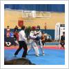 Camponato de España Universitario de Taekwondo