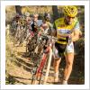Campeonato de Andalucía de Ciclocross en  La Estella del Marqués