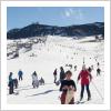 Sierra Nevada repetirá el próximo sábado las 12 horas de esquí ininterrumpidas