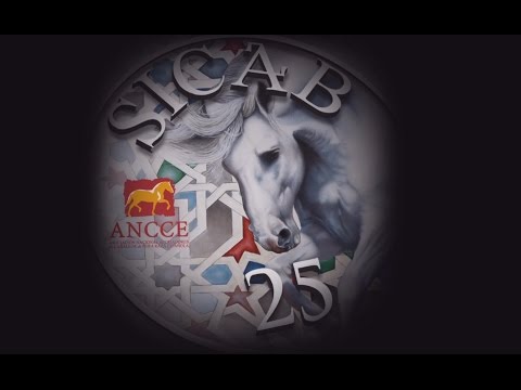 Vídeo conmemorativo 25 años de SICA
