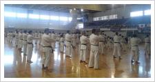 Más de 300 karatecas de 12 países se dieron cita el pasado fin de semana en Chiclana