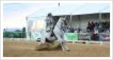 Tocina y  Los Rosales candidata a la Celebración del Campeonato de Europa de Doma Vaquera