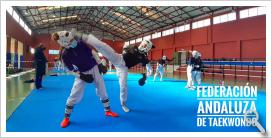 CONCENTRACIÓN SELECCIÓN ABSOLUTA TAEKWONDO