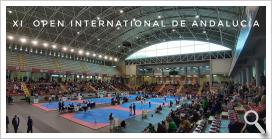 XI OPEN INTERNACIONAL DE ANDALUCÍA DE TAEKWONDO