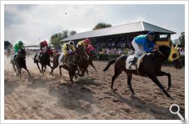 Carreras de caballos en el Hipódromo de Pineda