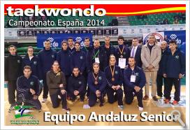 Equiop andaluz senior de taekwondo