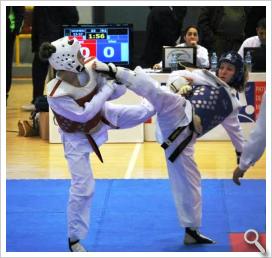 Campeonato de Andalucía de Taekwondo Senior en Antequera