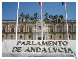 Publicado hoy el Proyecto de Ley del Deporte de Andalucía