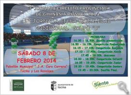 3ª Jornada del Circuito Provincial de Gimnasia Rítmica. Tocina y Los Rosales 8 de febrero de 2014.