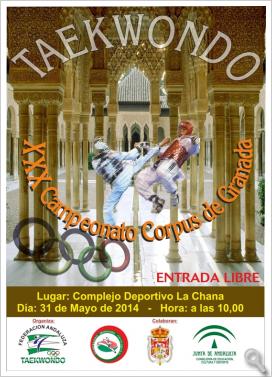 XXX Trofeo Corpus de Granada 2014