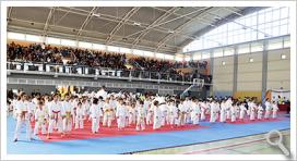 Trofeo Diputación de Córdoba de Karate