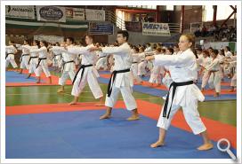 Proyecto Mundial - V Torneo de Selecciones de Karate