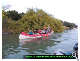 Ruta en canoa por el Guadalquivir.