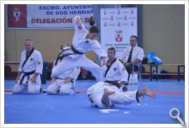 III Open de Andalucía de Hapkido