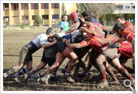 rugby masculino 02-02-15