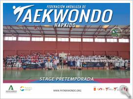 STAGE PRETEMPORADA TAEKWONDO