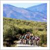 Andalucía Bike Race 2014 toma su salida